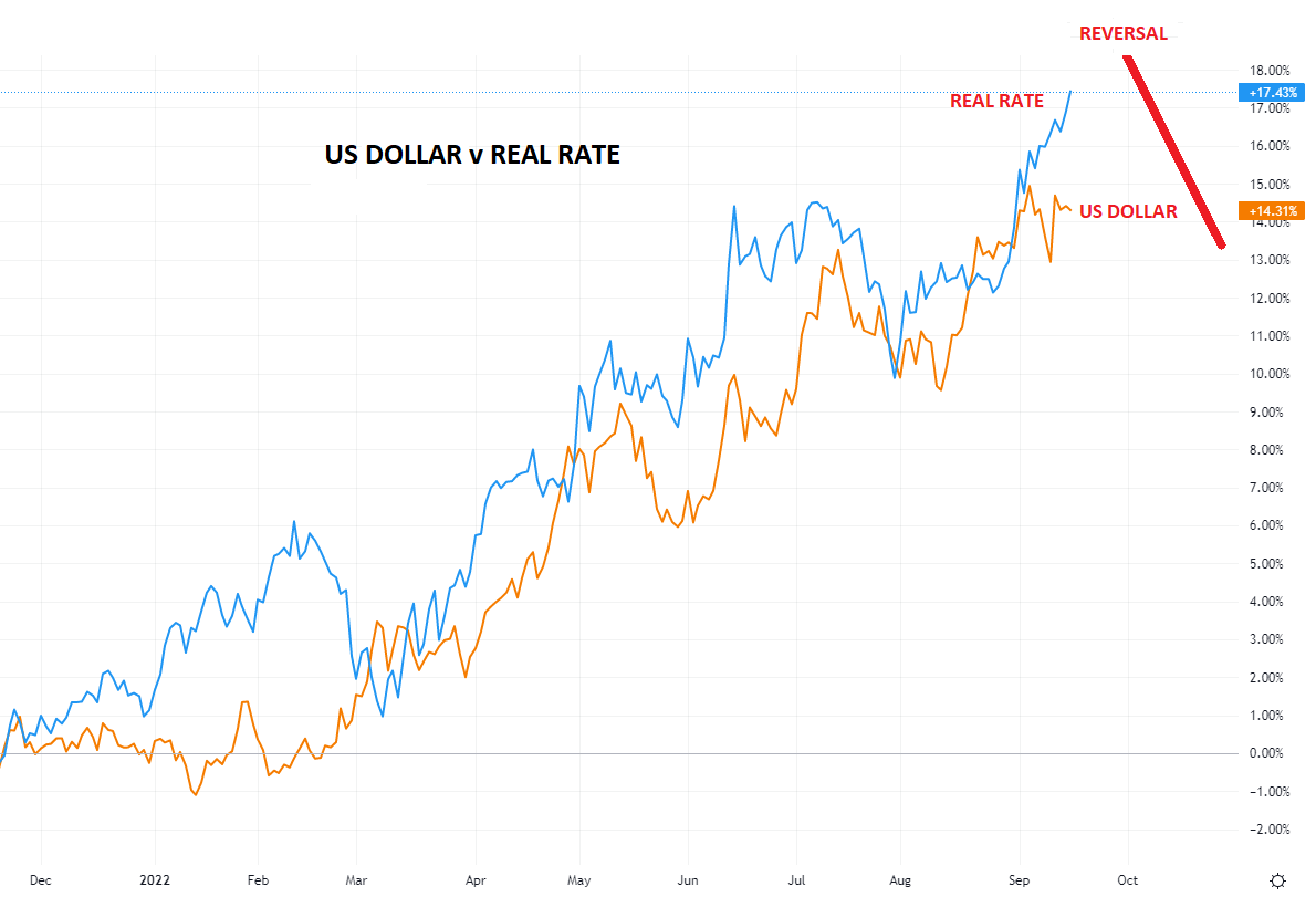 LONGWave-09-07-22-SEPTEMBER-A-Tipping-Point-Triggered-Newsletter-3-DXY-v-Real-Rate image