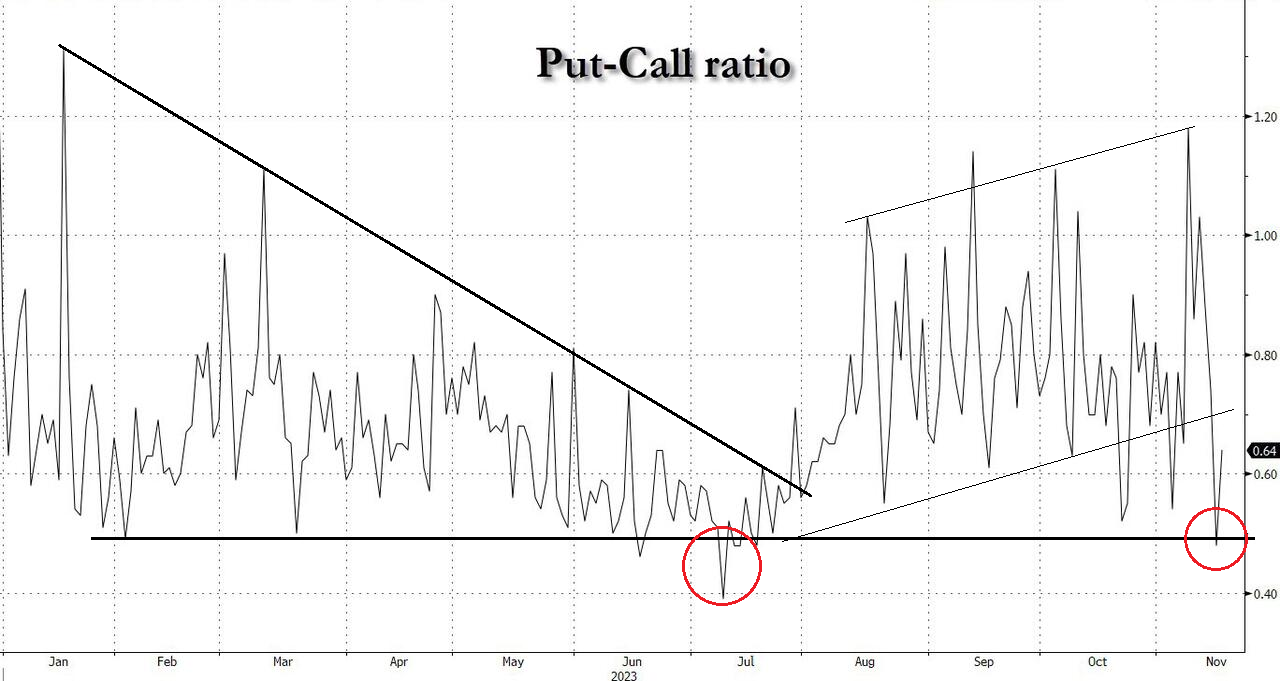 LONGWave-11-08-23-NOVEMBER-The-Slow-Choking-of-Credit-Newsletter-3-SP-500-Put-Call-Ratio image