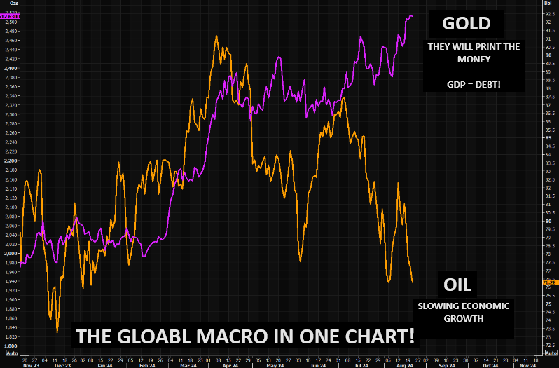 UnderTheLens-08-21-24-SEPTEMBER-The-Road-to-Regulatory-Repression-Newsletter-2-The-Global-Macro-in-One-Chart image