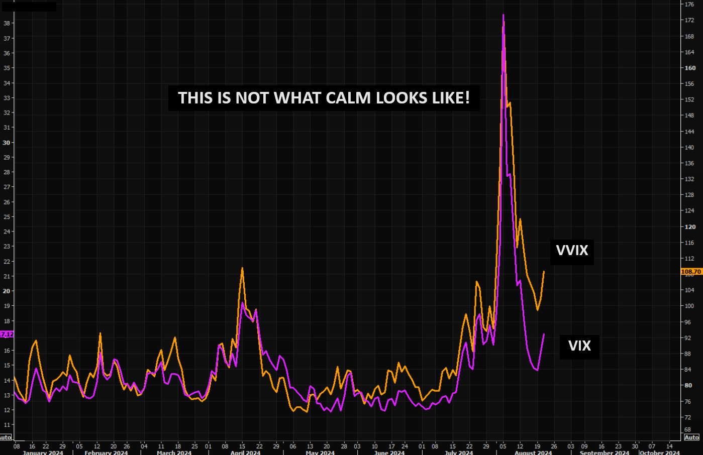UnderTheLens-08-21-24-SEPTEMBER-The-Road-to-Regulatory-Repression-Newsletter-2-This-is-not-What-Calm-Looks-Like-VIX-v-VVIX image