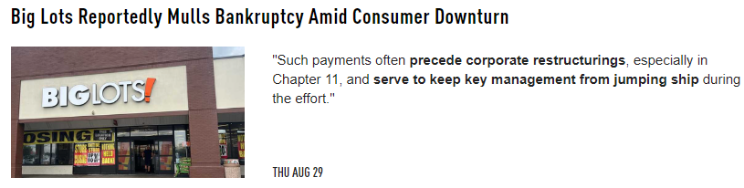 UnderTheLens-08-21-24-SEPTEMBER-The-Road-to-Regulatory-Repression-Newsletter-3-Big-Lots-Bankruptcy image