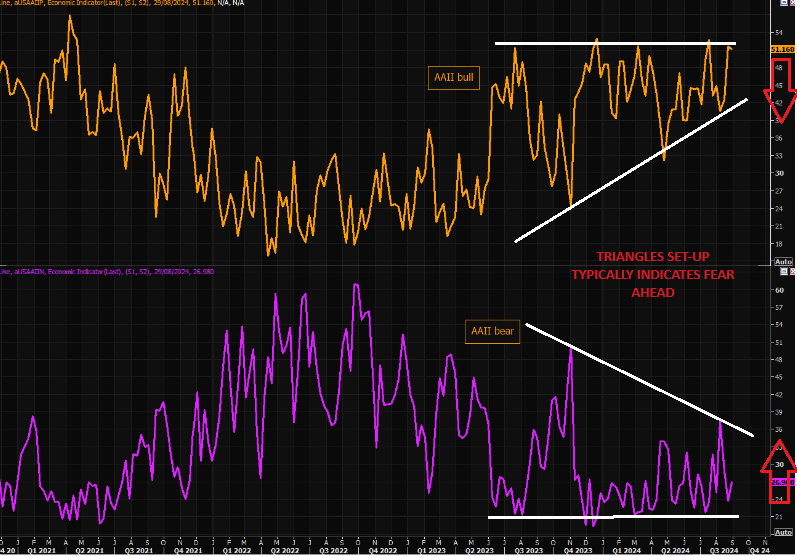 UnderTheLens-08-21-24-SEPTEMBER-The-Road-to-Regulatory-Repression-Newsletter-3-Bull-Bear-Triangle-Set-Up image