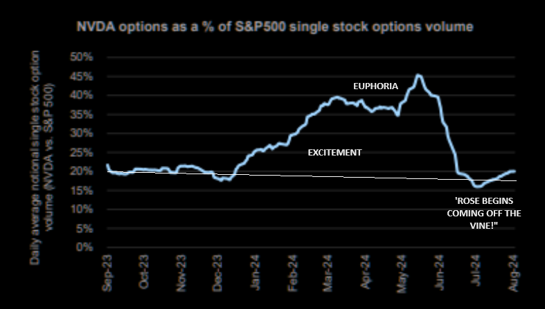 UnderTheLens-08-21-24-SEPTEMBER-The-Road-to-Regulatory-Repression-Newsletter-3-Nvidia-Single-Stock-Options image
