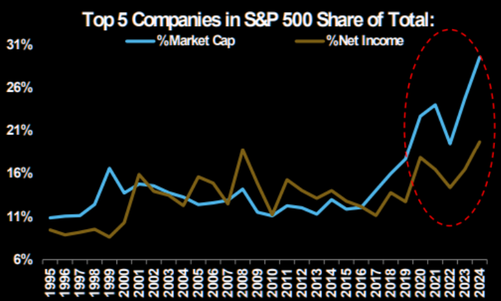 UnderTheLens-08-21-24-SEPTEMBER-The-Road-to-Regulatory-Repression-Newsletter-4-Top-5-SPX-Market-Cap-v-Net-Income image