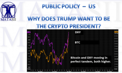 LONGWave -11-13-24 - NOVEMBER - The Trump Trade-Newsletter-2-Cover