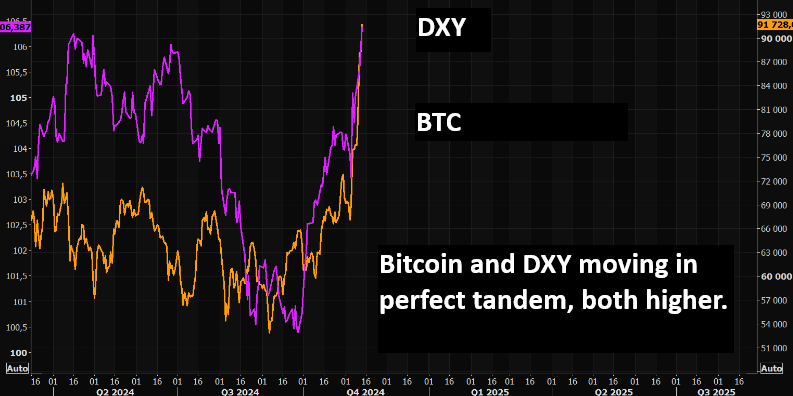 LONGWave-11-13-24-NOVEMBER-The-Trump-Trade-Video-Newsletter-2-Bitcoin-v-DXY image