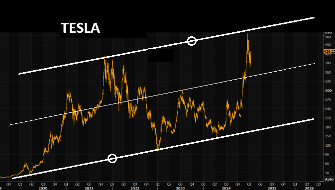 LONGWave-12-18-24-DECEMBER-The-Re-Privatization-of-America-Newsletter-Tesla-TSLA image