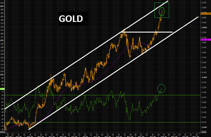 LONGWave-02-12-25-FEBRUARY-Investment-Themes-for-2025-Newsletter-2-PATTERNS-GOLD image