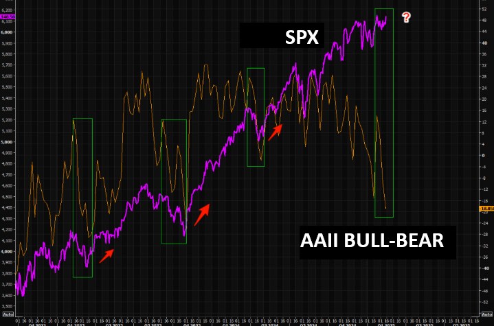 LONGWave-02-12-25-FEBRUARY-Investment-Themes-for-2025-Newsletter-2-SENTIMENT-AAII-BULL-BEAR image