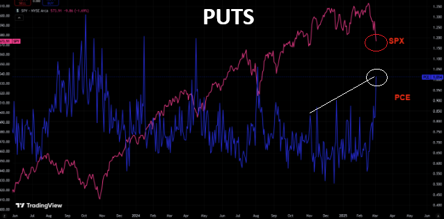 UnderTheLens-02-26-25-MARCH-A-Sustainable-US-Competitive-Advantage-Newsletter-3-SENTIMENT-PUTS image